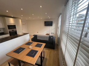 Spacious 1-bed Central London flat